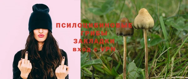 мдпв Балабаново
