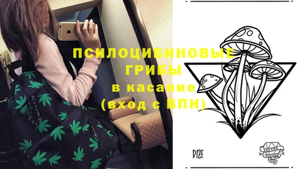 крисы Белоозёрский