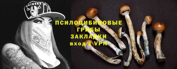 трава Балахна